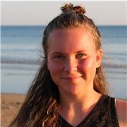 Professeur particulier donne cours de soutien scolaire aux étudiants de collège et de primaire